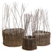 Cesta de plantas hecha de ramitas blanqueadas Ø15-25cm juego de 3