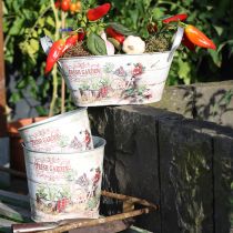 Artículo Maceta redonda de metal Fresh Garden Ø23cm A21cm