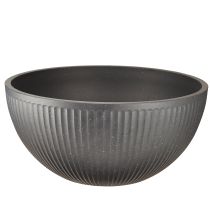 Artículo Macetero cuenco plástico antracita Ø40cm H18,5cm