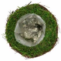 Jardinera cuenco de ratán, musgo Ø19cm H13cm
