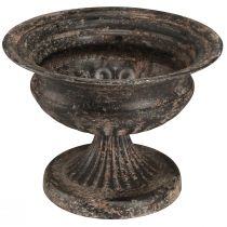 Artículo Taza para plantas Cáliz aspecto antiguo negro marrón Ø20cm H15cm