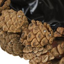 Artículo Cuenco para plantas de conos auténticos, cuenco cónico natural, Ø28 cm, alto 9 cm