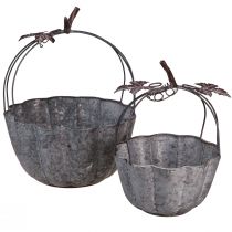 Artículo Macetero decorativo calabaza de metal zinc Ø21/30cm juego de 2 piezas