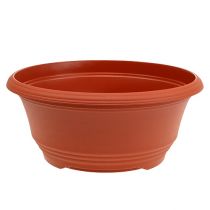 Artículo Cuenco de plástico para plantar Ø27cm terracota 1 pieza
