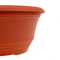 Artículo Cuenco de plástico para plantar Ø27cm terracota 1 pieza