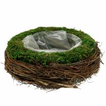 Cuenco para plantas ratán, musgo Ø26cm H9cm