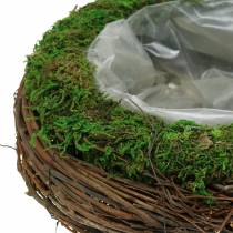 Cuenco para plantas ratán, musgo Ø26cm H9cm