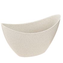 Artículo Cuenco decorativo barco planta plástico beige 20×9cm H12cm 3ud