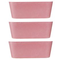 Artículo Recipiente para plantar en forma de barco, ovalado, rosa, 27 x 11 x 10 cm, 3 unidades