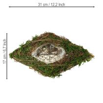 Artículo Recipiente para plantas Sarmientos y musgo 31×17×6cm