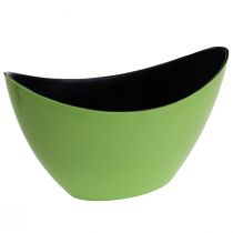 Cuenco decorativo planta barco verde ovalado 20cmx9cmx12cm