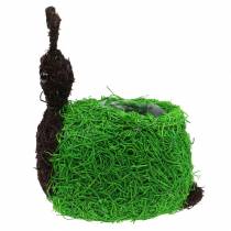 Artículo Jardinera Caracol Vine Natural, Verde 21x14cm H26cm