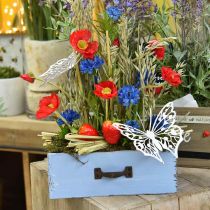 Cajón para plantas madera caja de plantas shabby chic azul claro 25×13×8cm