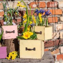 Cajón para plantas jardinera madera amarillo 12,5/16cm juego de 2