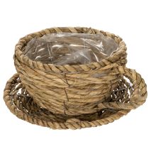 Artículo Cesta de té para decoración natural del hogar y ambiente encantador 15cm