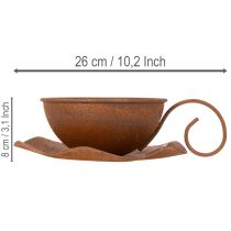 Artículo Maceta con platillo, acabado en óxido, Ø19,5 cm, H8 cm