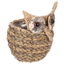 Artículo Cesta decorativa tejida a mano con forma de búho para el alféizar de la ventana, 18 cm.
