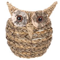 Artículo Cesta decorativa tejida a mano con forma de búho para el alféizar de la ventana, 18 cm.