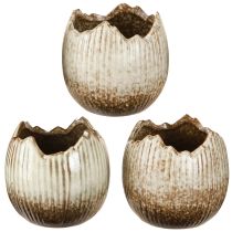 Artículo Maceta Cerámica Huevo Roto Crema Marrón Ø9.5cm 3 Piezas