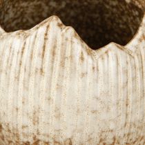 Artículo Maceta Cerámica Huevo Roto Crema Marrón Ø9.5cm 3 Piezas