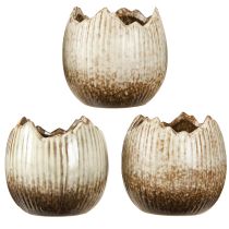 Artículo Maceta Cerámica Huevo Roto Crema Marrón Ø9.5cm 3 Piezas