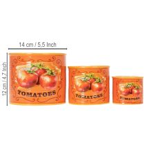 Artículo Juego de 3 macetas de cerámica para tomates, decorativas para cocina y decoración retro, 14 cm