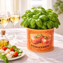 Artículo Juego de 3 macetas de cerámica para tomates, decorativas para cocina y decoración retro, 14 cm