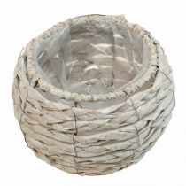 Artículo Cesta para plantas, maceta rústica blanca, Ø17 cm, altura 11 cm, decoración