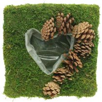 Cojín vegetal corazón musgo y conos cuadrado 25 × 25cm