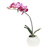 Artículo Orquídeas artificiales en maceta Phalaenopsis flores artificiales orquídeas rosa 34cm