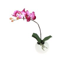 Artículo Orquídeas artificiales en maceta Phalaenopsis flores artificiales orquídeas rosa 34cm