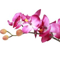 Artículo Orquídeas artificiales en maceta Phalaenopsis flores artificiales orquídeas rosa 34cm