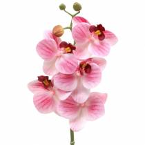 Rama de orquídea artificial Phaelaenopsis rosa H49cm