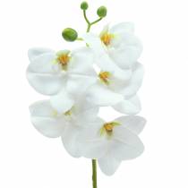 Rama de orquídea artificial Phaelaenopsis blanco H49cm