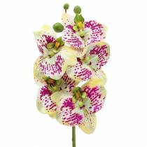 Artículo Rama de orquídea artificial Phaelaenopsis Verde Rosa H49cm
