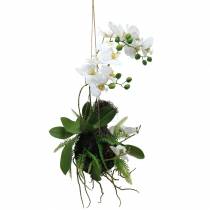 Orquídea con Bolas de Helecho y Musgo Artificial Blanco Colgante 64cm