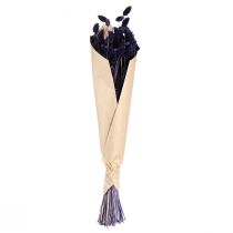 Artículo Hierba decorativa seca violeta Phalaris 50-55 cm 100 g