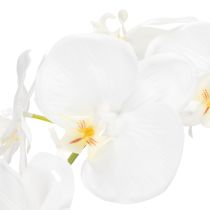 Artículo Planta de orquídea artificial, engañosamente realista, para decoración de oficina y sala de estar, 62 cm