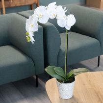 Artículo Planta de orquídea artificial, engañosamente realista, para decoración de oficina y sala de estar, 62 cm