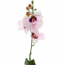 Orquídea artificial phaleanopsis blanca, púrpura 43cm