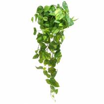 Artículo Percha filodendro 80cm