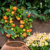 Corona de Physalis naranja artificial, verde Ø28cm decoración de otoño