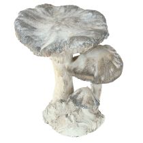 Artículo Decoración de setas de piedra fundida gris blanca lavada 21,5×18×22cm