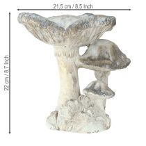 Artículo Decoración de setas de piedra fundida gris blanca lavada 21,5×18×22cm