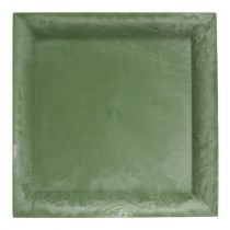 Plato de plástico cuadrado verde 26cm x 26cm