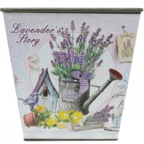 Artículo Macetero con motivo de lavanda, macetero decorativo cuadrado, macetero de plástico AL13cm AN13,5cm