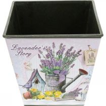 Artículo Macetero con motivo de lavanda, macetero decorativo cuadrado, macetero de plástico AL13cm AN13,5cm