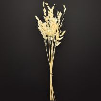 Artículo Canastilla de hoja ancha Chasmantium Champagne 70cm 10pzs
