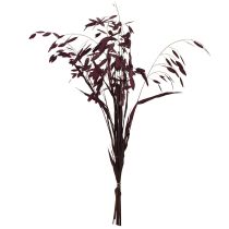 Artículo Canastilla de hoja ancha Chasmantium Violeta 70cm 10pzs