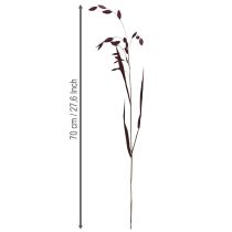 Artículo Canastilla de hoja ancha Chasmantium Violeta 70cm 10pzs